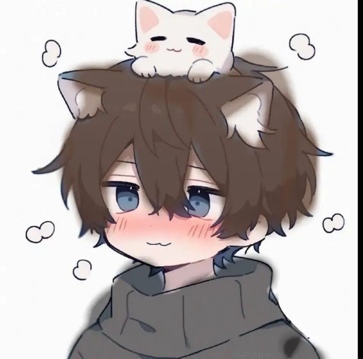 Catboy