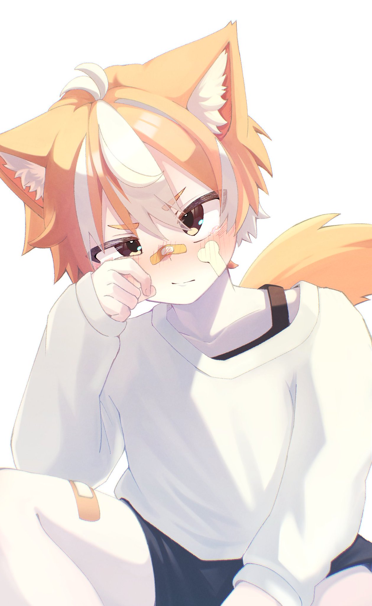 Catboy